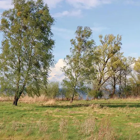 Lejlighed In With Sauna Rechlin